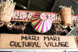 KK Leisure Tour And Rent A Car Mari Mari Cultural Village